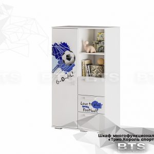 Многофункциональный шкаф "Трио" ШК-10 (Король спорта)